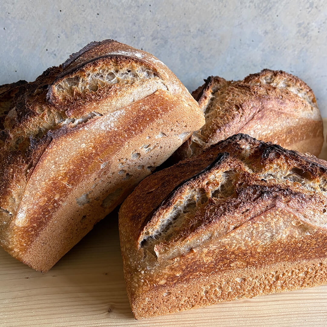 Kastenbrot von IL PANE FRESCO frisch aus der Backform